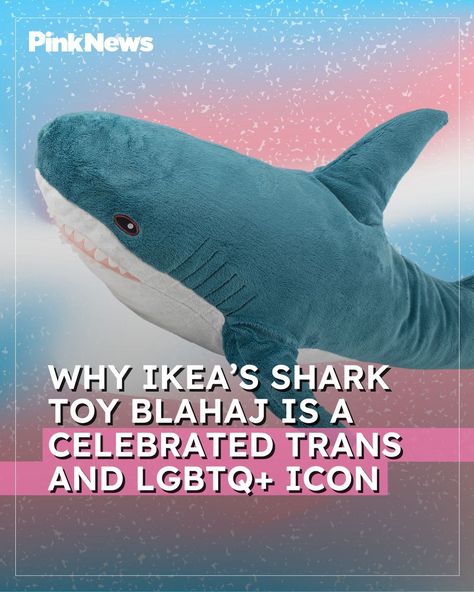 To most people, it’s a simple shark toy. But to trans people, IKEA’s Blahaj is a symbol and signifier of the transgender community. The polyester plushie, which is available online or in store for £22 ($28), has been a symbol of trans rights since about 2017. Its significance started on Tumblr, when users across the social media site began sharing memes of the shark. Initially, the memes were of the shark doing various things or being in odd places but as the number of them grew, more and m... Blahaj Shark Plush, Blahaj Trans, Blåhaj Trans, Trans Shark, Ikea Blahaj, Shark Plushies, Trans Symbol, Blahaj Shark, Ikea Plushies