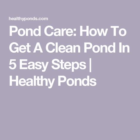 Pond Care: How To Get A Clean Pond In 5 Easy Steps | Healthy Ponds Clean Duck Pond, How To Build A Pond Step By Step, Pond Care Tips, Self Cleaning Duck Pond, Cleaning Ponds Tips, Pond Cleaning, Summer Temperature, Pond Maintenance, Floating Plants