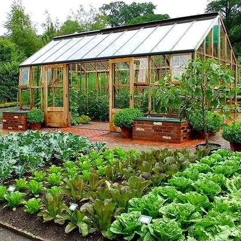 Pros y contras de plantar en un invernadero Serre Diy, Moderne Have, Garden Layout Vegetable, Backyard Vegetable Gardens, Greenhouse Plans, Diy Greenhouse, Vegetable Garden Design, Garden Care, Garden Bed