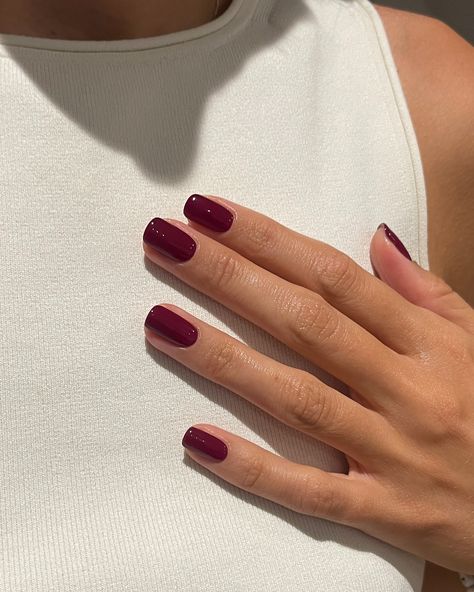 Megan Margot Evans | It’s time for the dark cherry shades 🍒🖤 #autumnnails #nailslondon #darknails #biosculpturegel | Instagram Deep Cherry Red Nails, Deep Cherry Nails, Nails Cherry Red, Dark Red Natural Nails, Cherry Red Manicure, Dark Cherry Nails, Bright Cherry Red Nails, Dark Cherry Red Nails, Cherry Red Nails