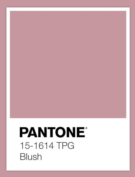 Pantone Colour Palettes, Pantone Colors, Ash Brown, Soft Summer, Colour Palettes, Blush Color, Pantone Color, Orange Yellow, Color Palettes