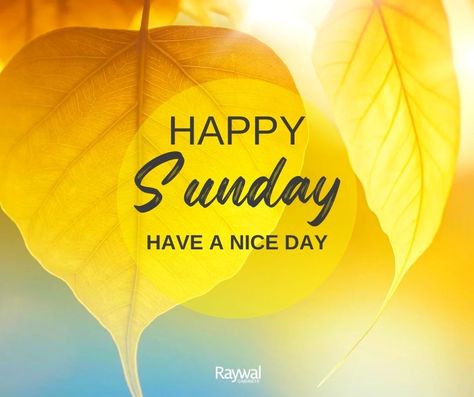 Happy Sunday 🌞  #HappySunday #raywal #raywalcabinets #canadianmade #cabinets Happy Sunday Images, Happy Doctors Day, Happy Sunday Morning, Sunday Morning Quotes, Sunday Greetings, Sunday Wishes, Sunday Images, Good Morning Images Download, Happy Weekend Quotes