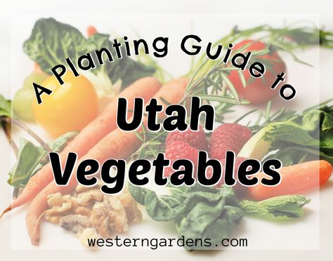 Utah Gardening, Western Garden, Planting Guide, Deer Resistant Plants, Garden Centers, Fall Garden Vegetables, Starting A Garden, Desert Garden, Garden Guide