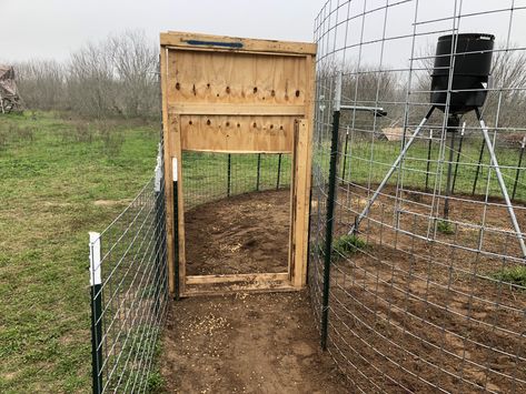 Hog Trap Ideas, Turkey Trap, Gate Door Design, Hog Trap, Door Head, Sheep And Goat, Hunting Ideas, Cattle Panels, Land Ideas