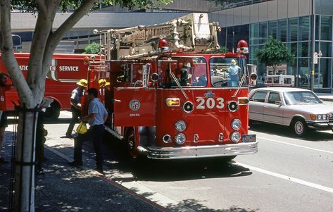 Los Angeles City, Fire Department, Angeles, Angel, Photography, Los Angeles