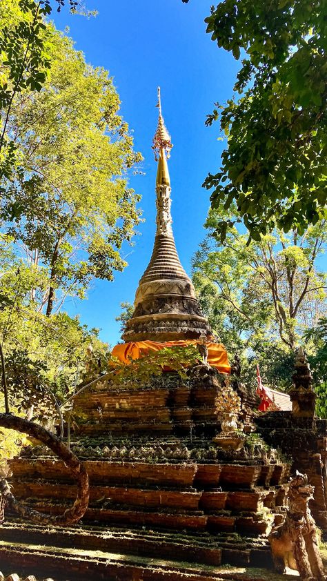 Wat Pha Lat Hike, Chiang Mai — Slower Travels Chiang Mai Thailand, Slow Travel, The Monks, Be Prepared, Digital Nomad, Chiang Mai, Beautiful Views, Need To Know, Thailand