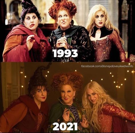 Hocus Pocus Fanart, Sarah Hocus Pocus, Sisters Costumes, Hello Kitty Heels, Halloween Themed Movies, Sanderson Sisters Costumes, Hermanas Sanderson, Hocus Pocus Quotes, Hocus Pocus 1993