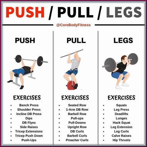 (ad) Active Recovery core Workout Routine For The Gym Ideas Push Pull Legs Workout, 3 Day Workout, Pull Workout, Push Pull Workout, Emom Workout, Compound Movements, Push Pull Legs, Wrist Exercises, Push Day