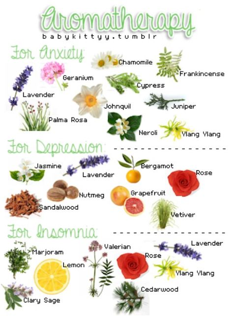 Essential Oils For Colds, Aroma Therapy, Healing Plants, Holistic Remedies, Holistic Beauty, Best Essential Oils, Nail Health, Aromatherapy Oils, Essential Oil Uses