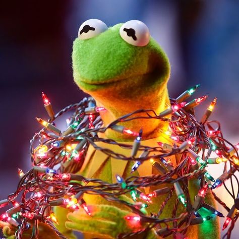 Pfp Christmas, Christmas Pfp, Christmas Playlist, Kermit The Frog, The Frog, Christmas 2024, 4 Hours, The Doors, Apple Music