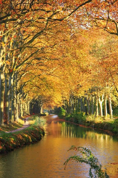 canal du midi Traveling Destinations, Canal Du Midi, Simple Beauty, Aesthetic Bedroom, Claude Monet, Toulouse, Travel Dreams, The Forest, Landscape Paintings