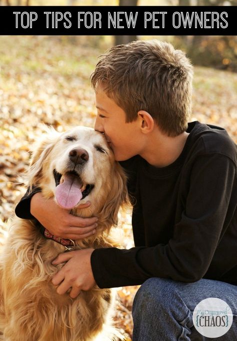 Top Tips for New Pet Owners. Welcoming a new pet to the family is exciting. By following these tips, you can help keep your pet safe and healthy. Mercy For Animals, Living With Dogs, Dog Health Tips, Dog Care Tips, Friendly Reminder, Dogs Golden Retriever, Portrait Ideas, Dog Photography, Love Pet