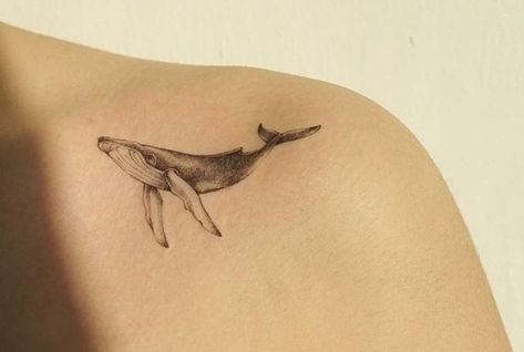 Whale Small Tattoo, Small Humpback Whale Tattoo, Tiny Whale Tattoo, Small Whale Tattoo, Humpback Whale Tattoo, Ocean Sleeve Tattoos, Whale Tattoo, Bts Tattoos, Whale Tattoos