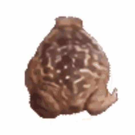 Spinning Gif, Frog Animated, Future Plans, Toad, Frogs, Animated Gif, Cool Gifs, Spinning, Gif