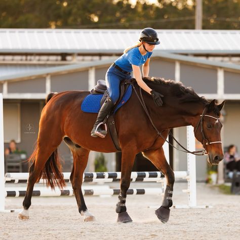 Always pat your pony 🫶🏼 Leading A Horse, Pony Finals, Bottom Yoongi, Horse Walking, Jumping Horses, Bay Horses, Horse Riding Aesthetic, Horse Lead, Horse Reference