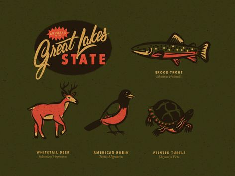 Michigan Animals by Blake Johnson on Dribbble Vintage Wildlife Illustration, Michigan Animals, Michigan Illustration, Michigan Tattoo Ideas, Michigan Wildlife, Utah Lake, Michigan Nature, Fishing Logo, Michigan Girl