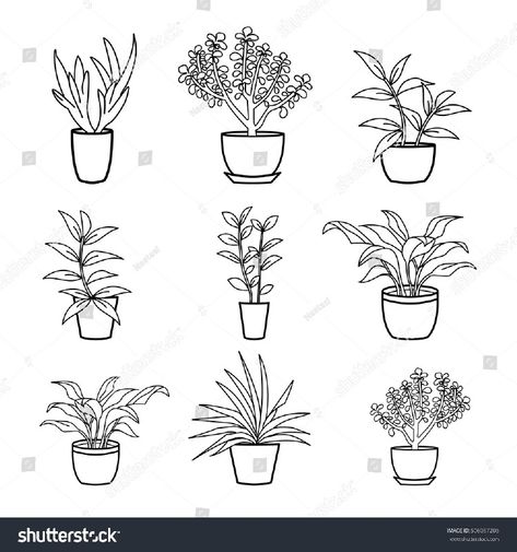 Plants On Window Sill, Garden Silhouette, Lines Doodle, Architectural Trees, Plant Tattoos, Flowers In Pots, Plant Doodle, Background Home, Art Vector Illustration