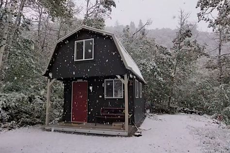 Tough Shed, Tiny Home Cost, Converted Shed, Home Depot Shed, Small Shed, Shed Tiny Home, Post Man, Off Grid Tiny House, Shed Tiny House