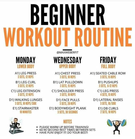 Newbie Gains, Weekly Gym Workouts, Beginners Gym Workout Plan, Beginner Workout Schedule, Workout Gym Routine, Motivasi Diet, Gym Workout Plan For Women, Gym Plan, Work Out Routines Gym