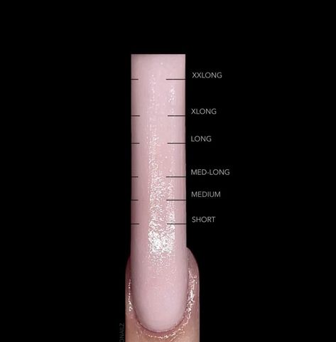 Nails Length Chart, Nail Length Chart, Self Nail, Nails Length, Acrylic Nails At Home, Home Nail Salon, Lipstick Palette, La Nails, Exotic Nails