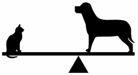 Asymmetrical Balance- The small cat and large dog on opposite sides Graphic Design Principles, Asymmetrical Balance, Heart Art Projects, Basic Design Principles, Radial Design, Art Docent, Teacher Art, Balance Art, Balance Design