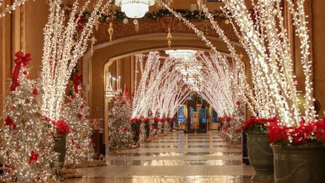 Hotels at Christmas: 15 that go all-out for the holidays | CNN Travel Holiday Chaos, Astoria Hotel, Hotels Around The World, Roosevelt Hotel, Luxury Collection Hotels, Visit New Orleans, Jazz Fest, Waldorf Astoria, Christmas Events