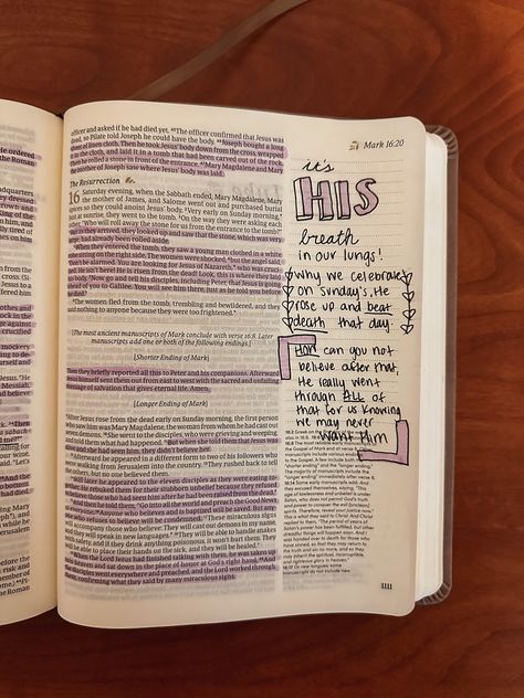 #mark #markbible #bible #biblestudy #biblejournaling #biblejournal #biblejournalingcommunity #journal #journaling #journalwithme Studying Ideas, Romans 11, Mark Bible, Bible Studying, Holy Girl, Journal Drawing, Inspire Bible, Journal Notes, Bible Journal Notes