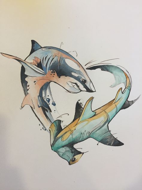 Shark Drawing, Ocean Tattoos, Shark Art, Shark Tattoos, Two Fish, Watercolor Ocean, Desenho Tattoo, 수채화 그림, Animal Sketches