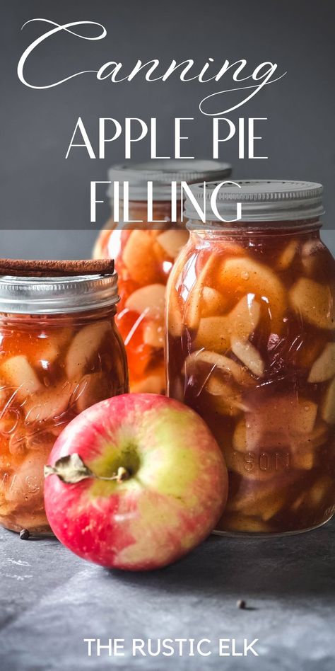 Homemade Pie Filling, Canning Apple Pie Filling, Easy Apple Pie Filling, Canning Apples, Apple Pie Filling Recipes, Homemade Apple Pie Filling, Crumble Pie, Canned Apple Pie Filling, Best Apple Pie