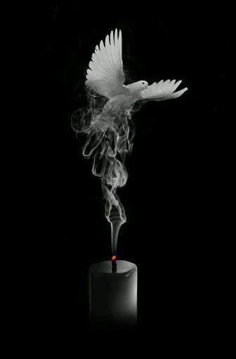 In Loving Memory Tattoos, Candle In The Dark, Best Nature Images, Black Paper Drawing, White Dove, Memorial Tattoos, Pop Art Wallpaper, Galaxy Phone Wallpaper, Simple Background Images