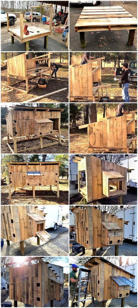 Chicken Coop Plans Free, Cheap Chicken Coops, Chicken Coop Pallets, Easy Chicken Coop, Portable Chicken Coop, Backyard Chicken Coop Plans, Diy Chicken Coop Plans, Coop Design, Best Chicken Coop