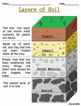 Layers Of soil Worksheet Unique soil Quiz by Alison Crawford – Chessmuseum Template Library Layers Of Soil Anchor Chart, Layers Of Soil Worksheet, Soil Worksheet, Layers Of Soil, Praxis Test, Summative Test, Grade 3 Science, Soil Science, Earth Layers