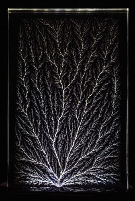 Lichtenberg Figures, Ethereal Art, Band Shirts, Dnd Characters, Dark Art, Aesthetic Art, Printmaking, Art Inspo, Body Art