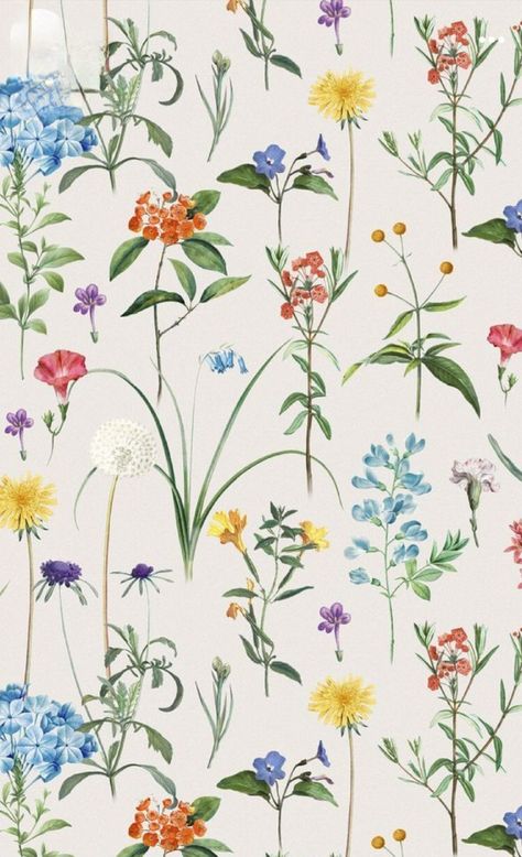 Clothing Background Design Ideas, Wild Flowers Iphone Wallpaper, Wild Flower Pattern, Botanical Wallpaper Iphone, Botanical Iphone Wallpaper, Flores Wallpaper, Vintage Flower Backgrounds, Aesthetic Floral Pattern, Botanical Background