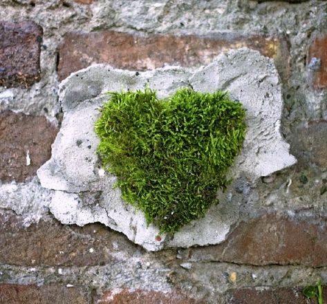 Herz aus Moos Graffiti Wall Garden Diy, Moss Graffiti, Diy Moss, Hallway Wall Art, Wall Garden, Green Art, Garden Diy, Cheap Diy, Works Of Art