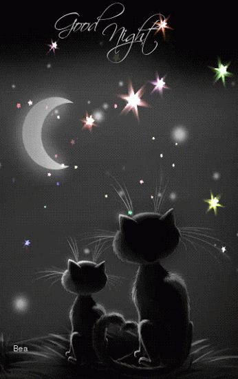 The Cutest Good Night GIF Images and Pictures *FREE* Night Gif, Slaap Lekker, Charcoal Drawings, Image Chat, Good Night Gif, Good Night Sweet Dreams, 판타지 아트, Crazy Cat Lady, Crazy Cats