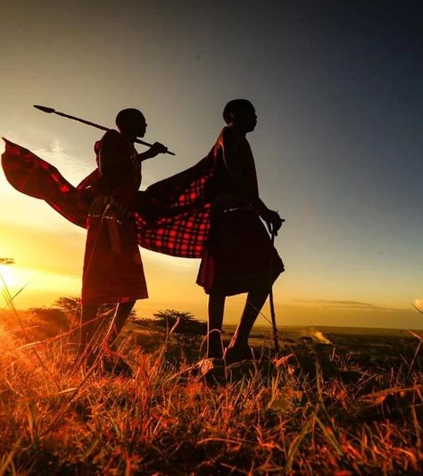 Afro Futuristic, Maasai Culture, Masai Tribe, Unique Glamping, Kenyan Flag, Herding Cattle, Maasai People, Black Roses Wallpaper, Safari Camp