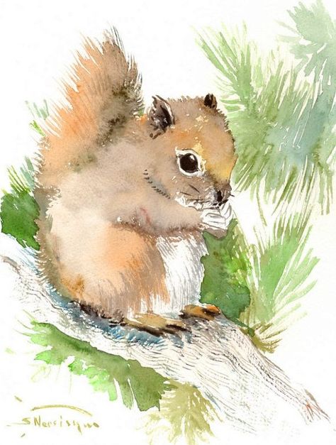 Forest Animals Art, Children Wall Art, Animals Forest, Squirrel Art, Art Forest, Watercolor Paintings For Beginners, Diy Watercolor Painting, Watercolor Projects, Watercolor Painting Techniques