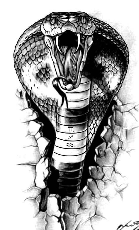 Snake Sketches, King Cobra Tattoo, Tattoo On The Shoulder, Snake Sketch, Cobra Tattoo, Serpent Tattoo, Cobra Art, Petit Tattoo, Snake Drawing