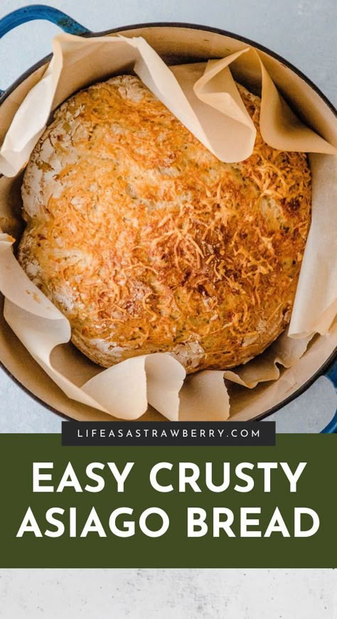 Asiago Bread Recipe, Asiago Cheese Bread, Asiago Bread, Easy Savory Recipes, Bread From Scratch, Cheese Bread Recipe, Oven Bread, Dutch Oven Bread, Artisan Bread Recipes