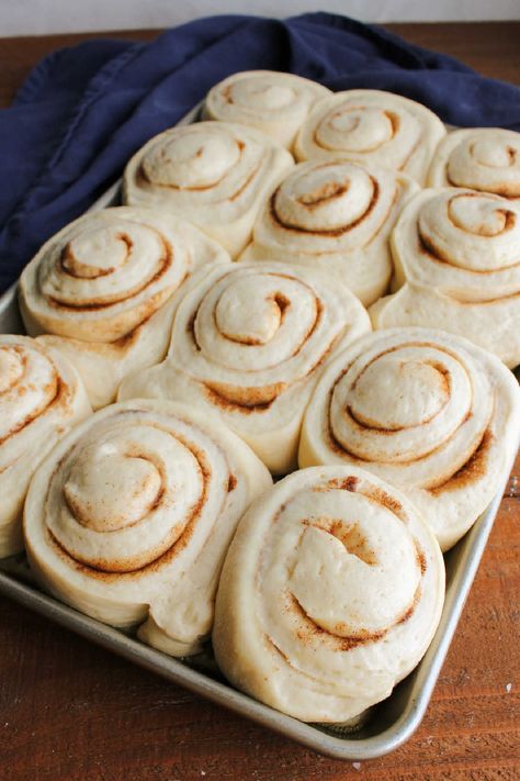 Cinnamon Rolls With Potato Dough 11 Cinnamon Roll Recipe With Mashed Potatoes, Potato Dough Cinnamon Rolls, Cinnamon Rolls With Potato, Cinnamon Rolls Made With Mashed Potatoes, Mash Potato Cinnamon Rolls, Potato Cinnamon Rolls Homemade, Flakey Cinnamon Rolls Homemade, Cinnamon Rolls With Mashed Potatoes, Amish Potato Cinnamon Rolls