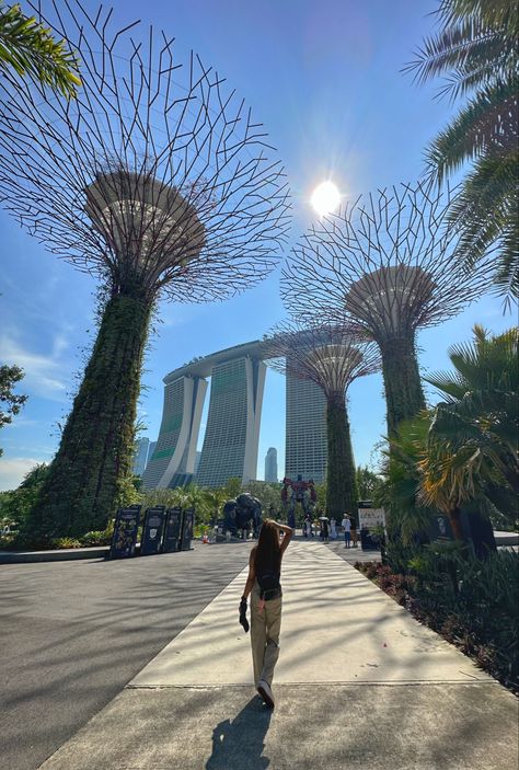 Singapore Travel Pictures, Singapore Travel Aesthetic, Singapore Photo Ideas, Singapore Pictures, Singapore Aesthetic, Singapore Outfit, Singapore Vacation, Thailand Pictures, Singapore Garden