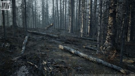 Burned Forest, Forest Biome, Dead Forest, I Did It Again, Video Game Development, Story Setting, Biome, Tree Forest, Unreal Engine