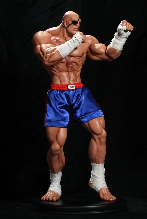 Sagat Street Fighter, Muai Thai, Street Fighter 1, Boxe Thai, Street Fighters, Street Fighter Characters, Street Fighter 2, Character Statue, Capcom Art