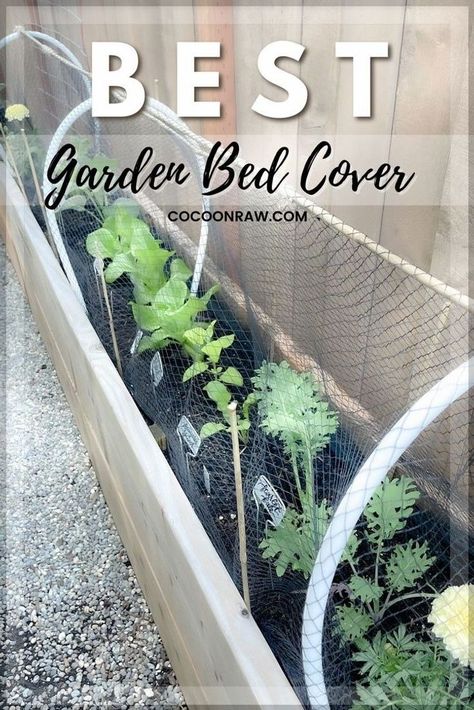 Wow! We have been working on expanding our kitchen garden and this Stylish Garden Bed Cover design have helped us to grow so much. It makes me excited to be able to grow vegetables without… More Easy Diy Garden Bed, Green House Aesthetic, Garden Bed Cover, Easy Garden Beds, Garden Mesh, Garden Bed Layout, Small Urban Garden, Green House Design, Diy Garden Bed