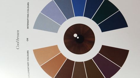 Color Wheel Brown Eyes, Eye Shadow Palette Brown Eyes, Eyeshadow Colours For Brown Eyes, Best Color For Brown Eyes, Brown Eyes Color Palette, Color Wheel Brown, Colors For Brown Eyes, Eye Clothes, Eye Tricks