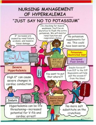 Nursing management of Hyperkalemia Fluid Imbalances Nursing, Electrolytes Nursing, Nursing Management, Nursing Study Tips, Nursing Information, Nurse Manager, Nursing Mnemonics, Nursing Student Tips, Lab Values