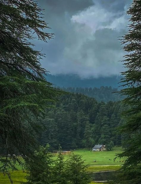 📍𝐋𝐨𝐜𝐚𝐭𝐢𝐨𝐧 - Khajjiar| Chamba🌲 🔸Himachalpradesh 🌄 𝐏𝐈𝐂𝐓𝐔𝐑𝐄 𝐁𝐘 : @lost.backpacker . Follow @spstourstravel for more !! . Like Comment Share . @spstourstravel @spstourstravel @spstourstravel 👉sps tempo traveller on rent 👉sps tempo traveller on rent 👉sps tempo traveller on rent #spstourstravel #himachal #himachalpictures #photooftheday #himachaldiaries #nature #naturephotography #chamba #himachali #landscapephotography #himachalgram #kullu #eveningphotography #dalhousie Khajjiar Himachal Photography, Dalhousie Photography, Himachal Photography, Tempo Traveller, Like Comment Share, Tourist Places, Beautiful Photos Of Nature, Beautiful Photo, Landscape Photography