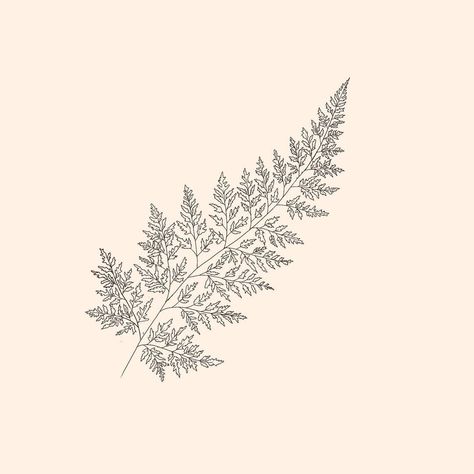 Fine Line Minimalist Fern Tattoo Design Fern Line Tattoo, Fern Tattoo Simple, Fineline Plant Tattoo, Fine Line Filler Tattoo, Fern Wrist Tattoo, Fern Fine Line Tattoo, Plant Tattoo Fine Line, Apricity Tattoo, Fern Line Drawing