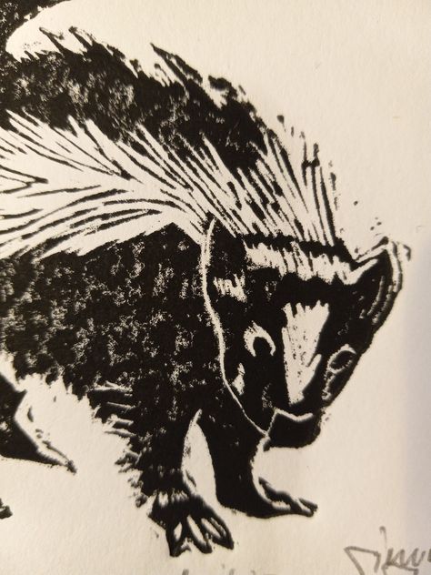 "A signed, editioned print of an striped skunk. Made in my shop (AKA the kitchen table) in Huntington, VT. Print dimenstions are 9\" by 6\" and comes packed in a compostable cellophane sleave, backed by chipboard." Skunk Drawing, Skunk Art, Striped Skunk, Art Et Illustration, Art And Illustration, Linocut Prints, Art Reference Poses, Linocut, Unique Print